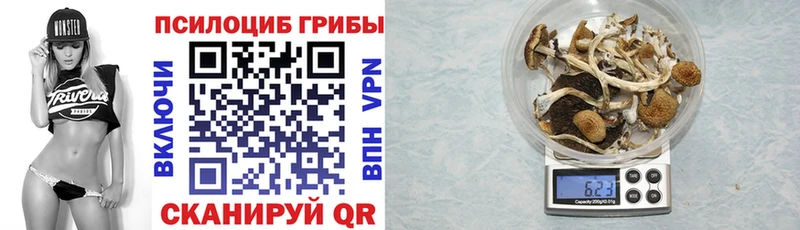 Псилоцибиновые грибы GOLDEN TEACHER Сычёвка